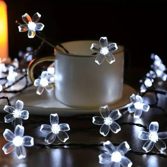 guirlande solaire extérieur illumination féerique lumière blanche froide décoration sur table noire