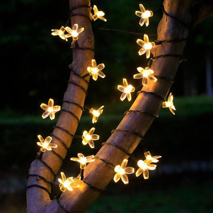 guirlande solaire extérieur illumination féerique lumière chaude entourer branche arbre