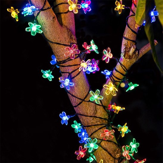 guirlande solaire extérieur illumination féerique lumière couleurs multiples entourer branches arbre